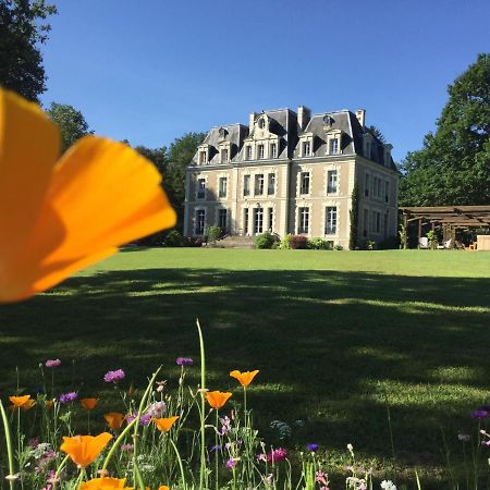 Chateau Des Essards Avec Piscine Et Jacuzzi Ланже Екстериор снимка